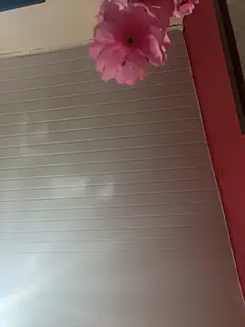 pimenta gaby online show from April 2026 12:01:01 PM