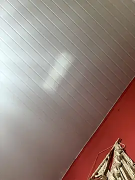 pimenta gaby online show from November 2025 05:07:02 PM