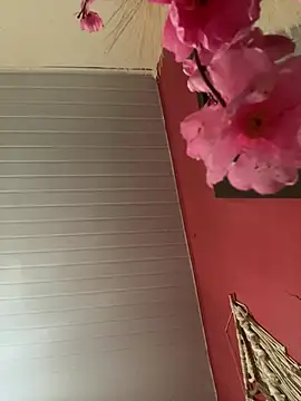 pimenta gaby online show from April 2026 03:37:01 PM