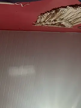 pimenta gaby online show from October 2025 11:20:01 AM