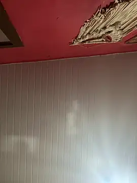 pimenta gaby online show from March 2026 02:42:02 PM