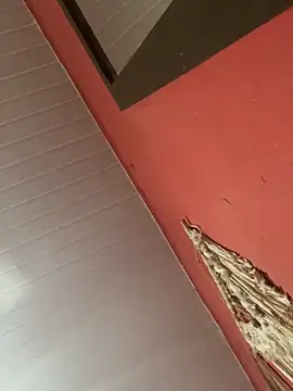 pimenta gaby online show from November 2025 11:03:02 AM