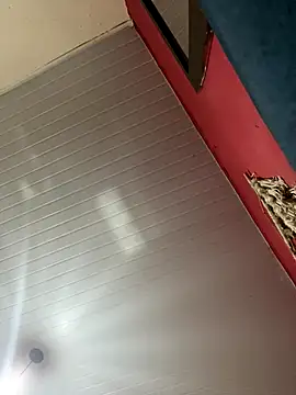 pimenta gaby online show from November 2025 10:30:01 AM