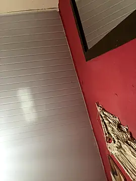 pimenta gaby online show from November 2025 02:21:01 PM