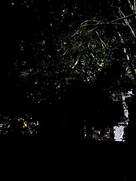 Yuky ta online show from March 2025 12:01:02 AM