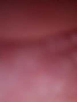 Mexicandeleon99 online show from March 2026 05:34:02 AM
