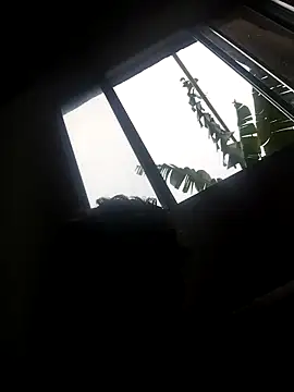 eu poseison online show from October 2025 07:11:02 PM