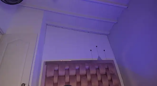 swt-booty online show from February 2025 06:26:01 PM