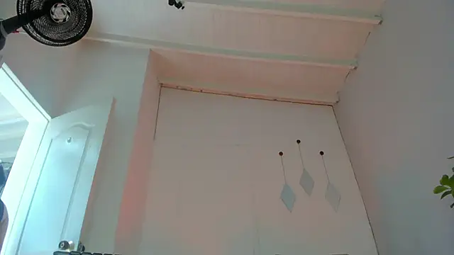 swt-booty online show from October 2025 04:31:02 PM