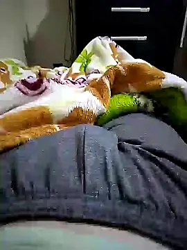 shiiank online show from May 2026 02:21:04 AM