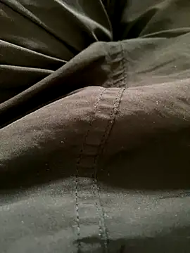 Snapshot of shiiank chatting on November 2025 06:29:02 PM shiiank online show from November 2025 06:29:02 PM