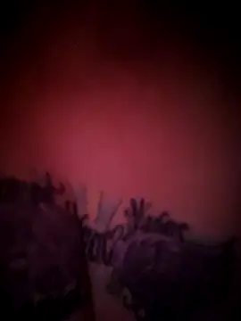 Snapshot of julimonroe chatting on February 2026 10:22:02 AM julimonroe online show from February 2026 10:22:02 AM