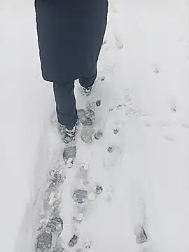 Saysomething3 online show from January 2026 07:59:01 AM