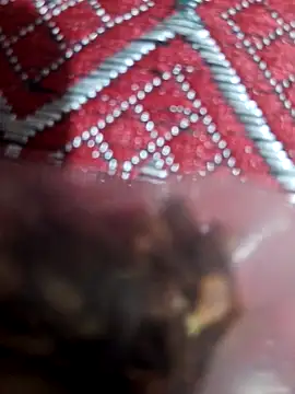 Snapshot of XBHUUME chatting on February 2025 10:59:02 AM XBHUUME online show from February 2025 10:59:02 AM