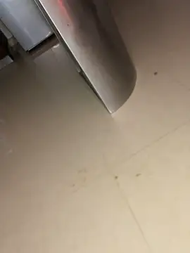 ameliayourfav1 online show from November 2025 09:51:02 PM