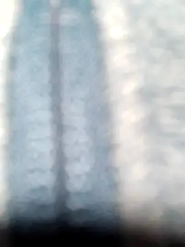 Molly newman6 online show from March 2026 05:47:01 PM