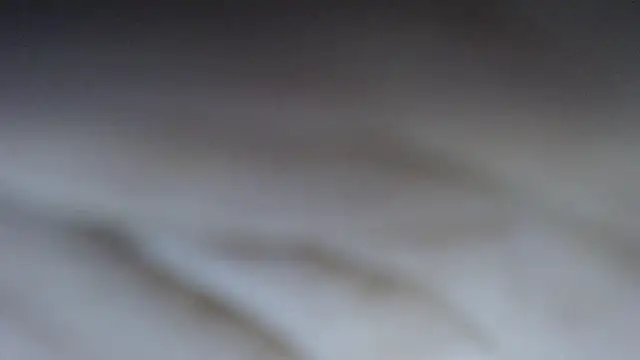 swt shadow online show from March 2026 08:16:02 PM