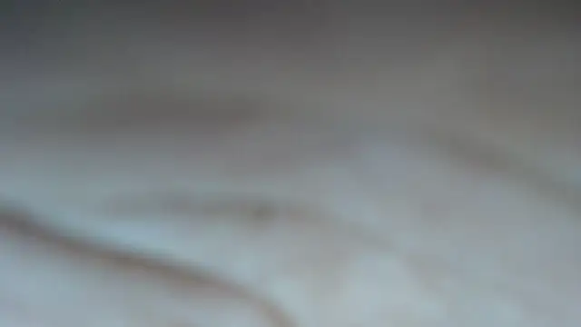 swt shadow online show from February 2026 06:52:01 PM