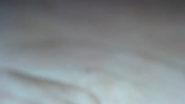 swt shadow online show from March 2026 07:31:02 PM