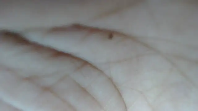 swt shadow online show from February 2026 08:08:01 PM