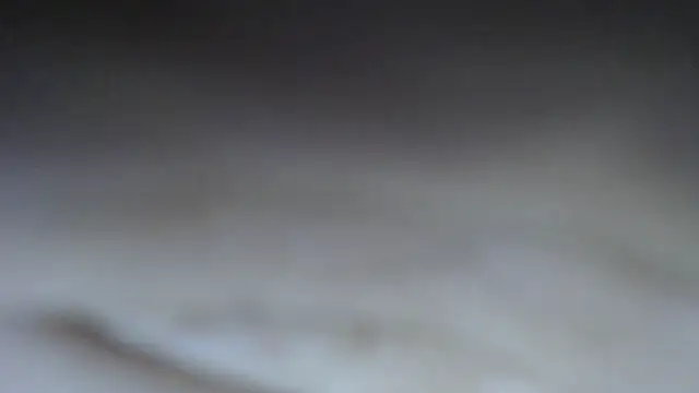 swt shadow online show from March 2026 08:38:01 PM