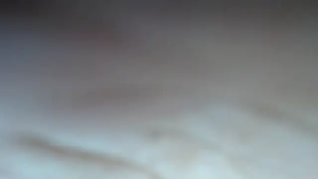 swt shadow online show from February 2026 08:00:01 PM