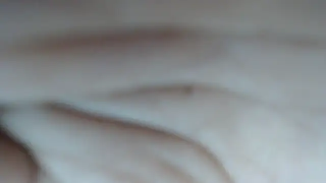 swt shadow online show from February 2026 07:45:01 PM