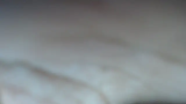 swt shadow online show from February 2026 07:00:01 PM