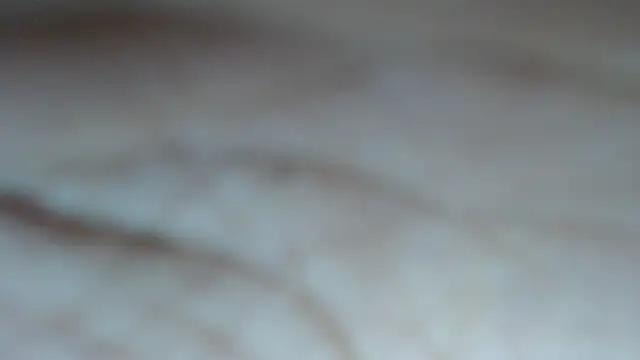 swt shadow online show from March 2026 06:59:01 PM