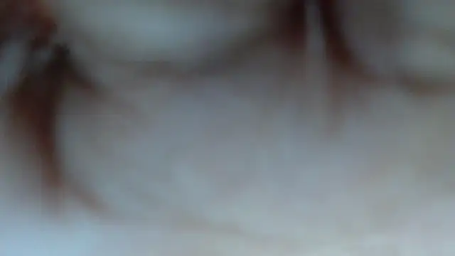 swt shadow online show from March 2026 06:56:01 PM