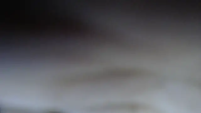 swt shadow online show from February 2026 07:27:01 PM