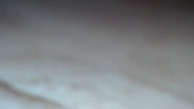 swt shadow online show from February 2026 07:36:02 PM