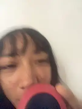 Snapshot of Karmakuro chatting on January 2026 06:33:01 PM Karmakuro online show from January 2026 06:33:01 PM