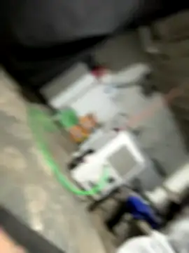 nativepumpkin95 online show from December 2025 11:00:01 PM