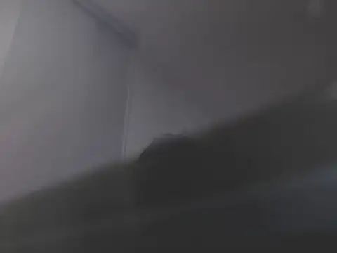 violetasweet11 online show from February 2026 07:05:01 AM