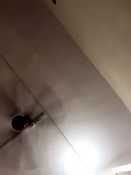 sushilbhosale667 online show from November 2025 08:30:02 AM