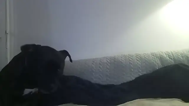 Elosexxy online show from September 2025 07:09:02 PM