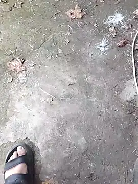 K-27 online show from November 2025 03:49:02 PM