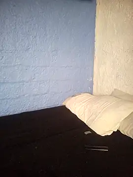 fablob23 online show from January 2025 07:29:02 PM