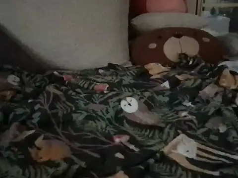 Perwers 41 online show from November 2025 02:22:02 PM