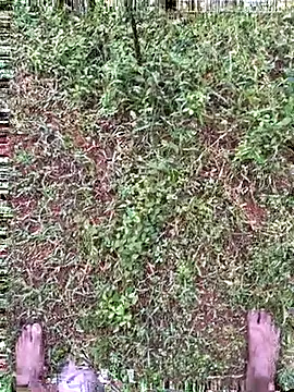 Snapshot of Gopal1243 chatting on October 2025 01:39:01 AM Gopal1243 online show from October 2025 01:39:01 AM