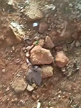 Snapshot of Gopal1243 chatting on December 2024 02:08:02 AM Gopal1243 online show from December 2024 02:08:02 AM