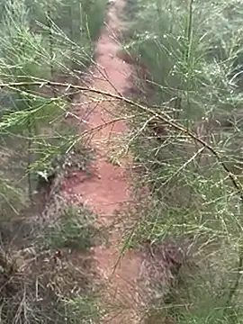 Snapshot of Gopal1243 chatting on December 2024 02:00:01 AM Gopal1243 online show from December 2024 02:00:01 AM