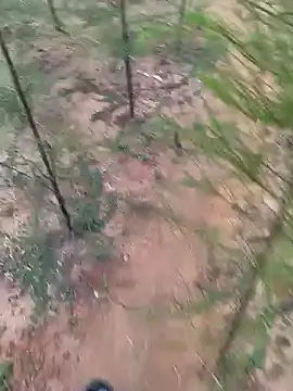 Snapshot of Gopal1243 chatting on January 2025 01:53:02 AM Gopal1243 online show from January 2025 01:53:02 AM