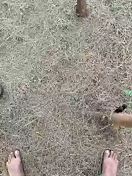 Snapshot of Gopal1243 chatting on February 2025 02:19:02 AM Gopal1243 online show from February 2025 02:19:02 AM