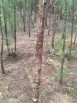 Snapshot of Gopal1243 chatting on October 2025 04:48:01 AM Gopal1243 online show from October 2025 04:48:01 AM