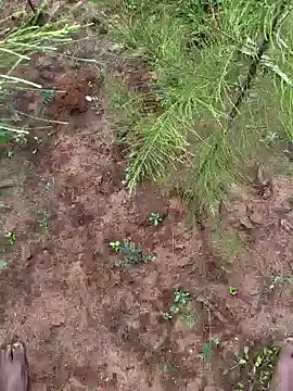 Snapshot of Gopal1243 chatting on December 2024 03:29:01 AM Gopal1243 online show from December 2024 03:29:01 AM