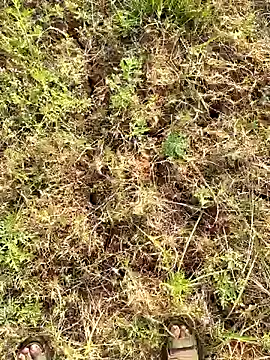 Snapshot of Gopal1243 chatting on March 2025 02:15:02 AM Gopal1243 online show from March 2025 02:15:02 AM