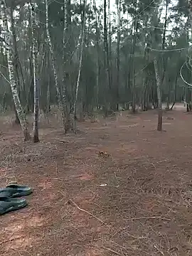 Snapshot of Gopal1243 chatting on January 2025 01:18:01 AM Gopal1243 online show from January 2025 01:18:01 AM