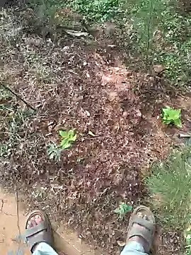 Snapshot of Gopal1243 chatting on January 2025 02:27:02 AM Gopal1243 online show from January 2025 02:27:02 AM